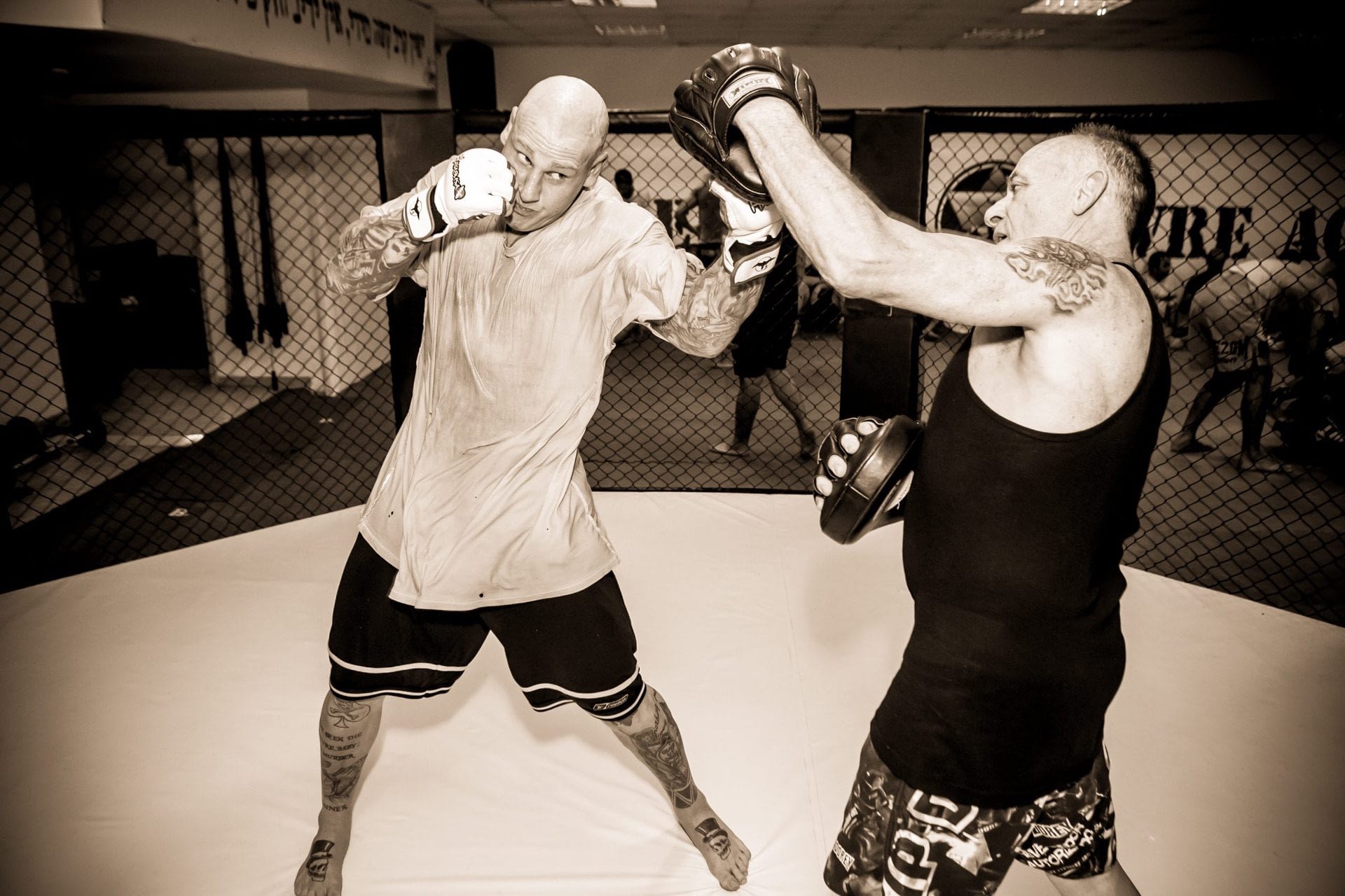 אימון MMA לוטה ליברה עילית פייטרס ישראל